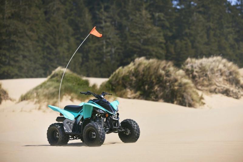 Fully automatic, continuously variable transmission (CVT) means no shifting. Handy for all riders aged 10-years old and up, it`s a feature beginning riders particularly appreciate. Standard reverse gear further eases the Raptor 110`s maneuvering.
